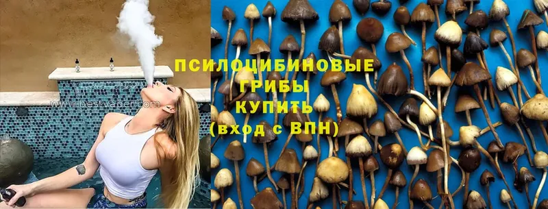 Галлюциногенные грибы GOLDEN TEACHER Невельск